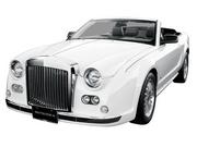 光岡自動車 ガリューコンバーチブル