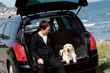 【ahead femme×オートックワン】-ahead 5月号-　自動車評論犬から見た”犬にやさしいクルマ”って？