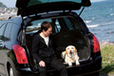 【ahead femme×オートックワン】-ahead 5月号-　自動車評論犬から見た”犬にやさしいクルマ”って？